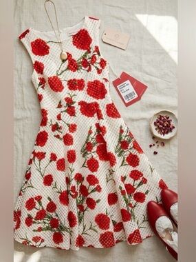 NWT Betsey Johnson Red Poppy Gingham Fit & Flare Dress With Pockets Size 2